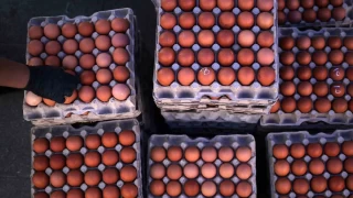 Yum-Bir: Ramazana yönelik elimizde ihtiyaçtan fazla yumurta var