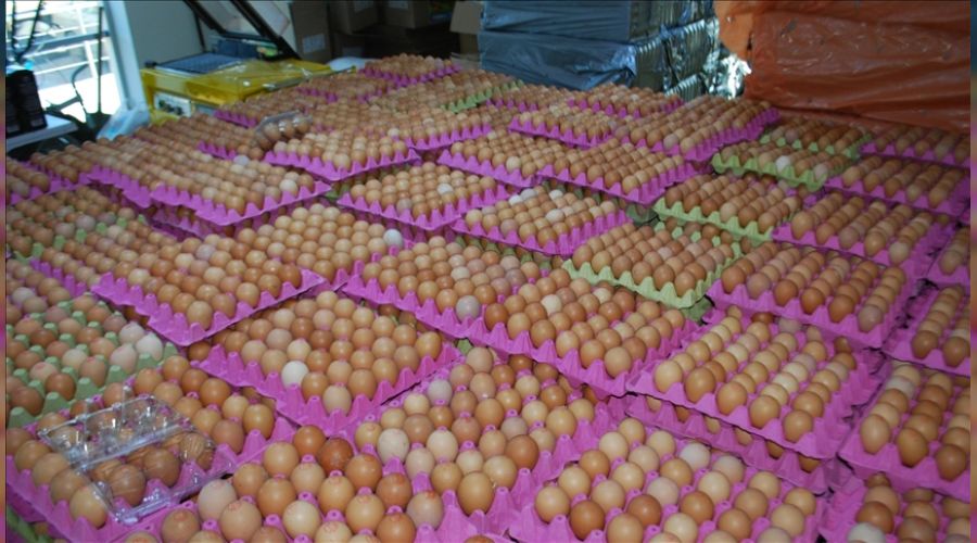 Yumurta �reticisi zorlan�yor