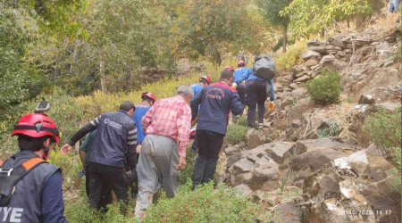 Zeytin toplarken uçuruma yuvarlandı
