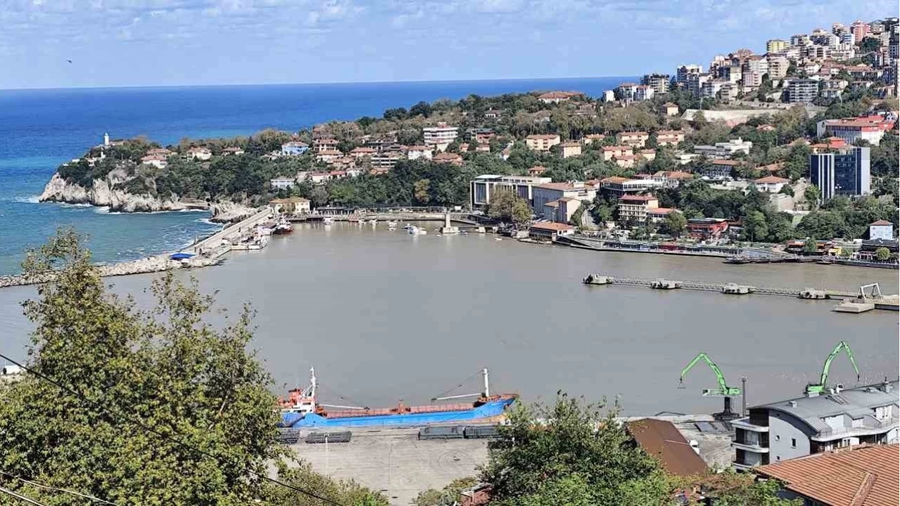 Zonguldak Liman sar renge boyand