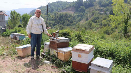 Zonguldak'ta bal üretimi 300 tondan 30 tona düştü