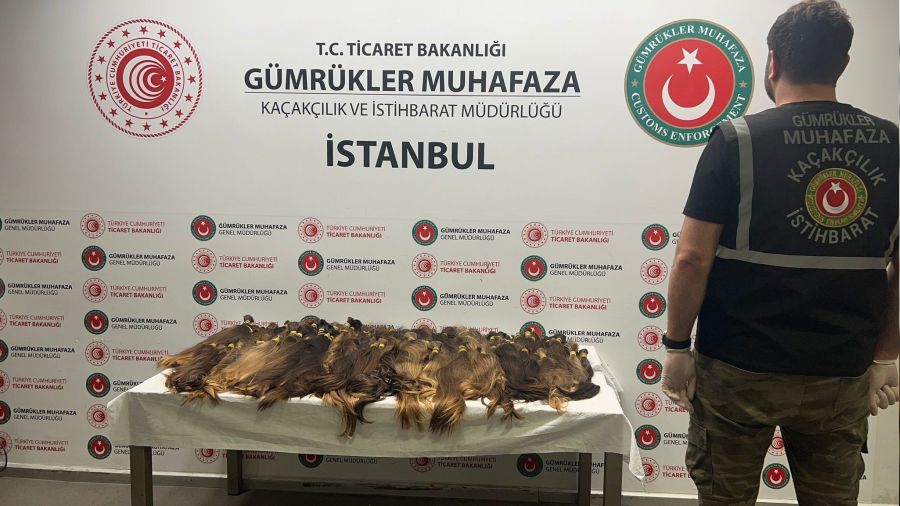 1,3 milyon lira değerinde kaçak insan saçı ele geçirdi
