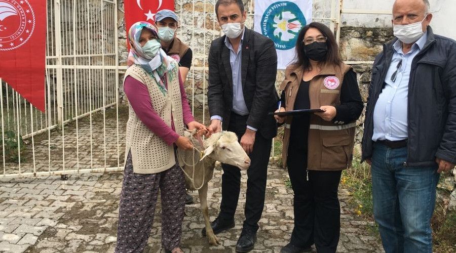 140 dam�zl�k ko� �reticilere teslim edildi