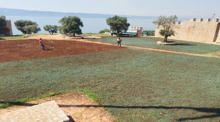 1400 y�ll�k kale k�llerinden do�du