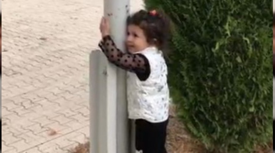 2,5 yaşındaki Mila'nın bayrak sevgisi
