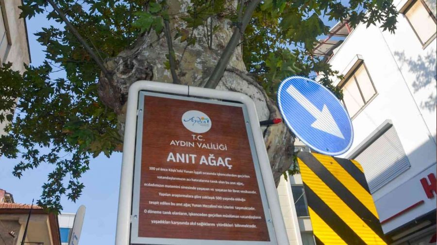 500 yaşındaki anıt ağaç kimliklendirildi