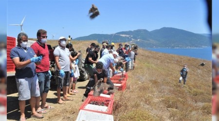 750 keklik doğaya salındı