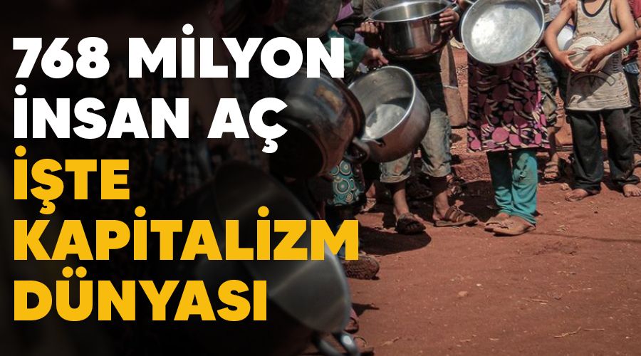 768 milyon insan a, ite kapitalizm dnyas