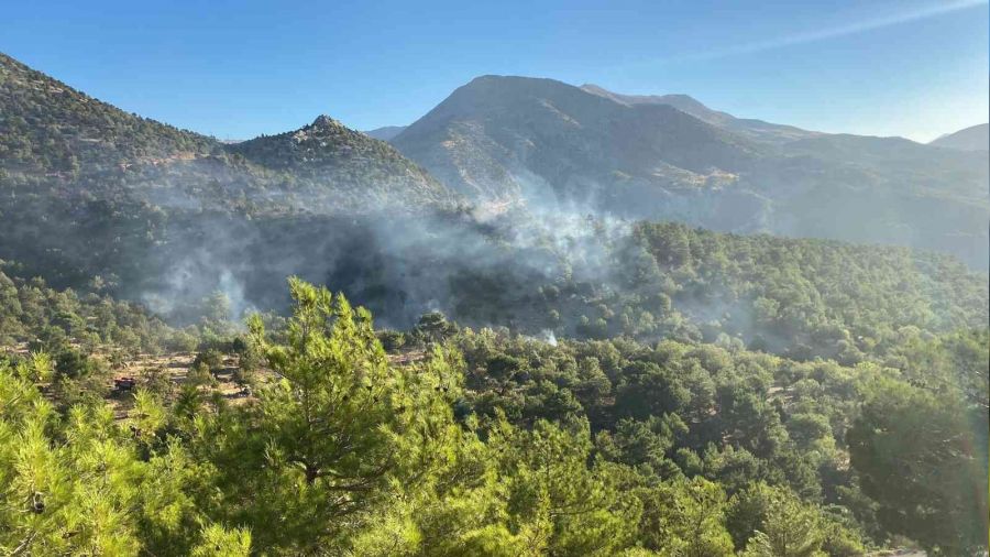 Adıyaman'daki orman yangını devam ediyor