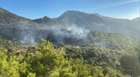 Adıyaman'daki orman yangını devam ediyor