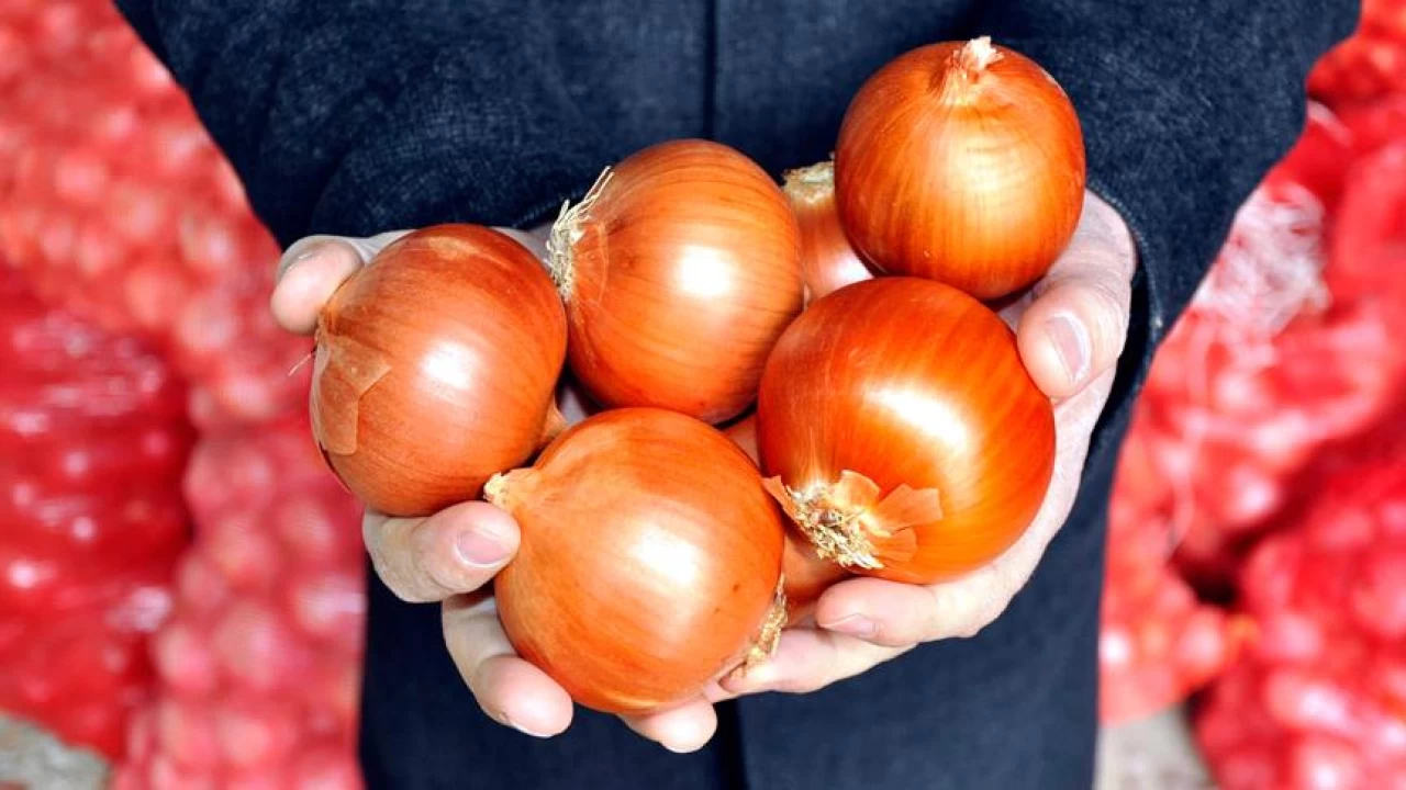 Ağızdaki soğan kokusu nasıl giderilir?