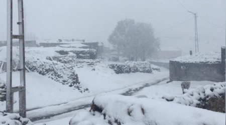 Ağrı'da yağmur yerini kar yağışına bıraktı