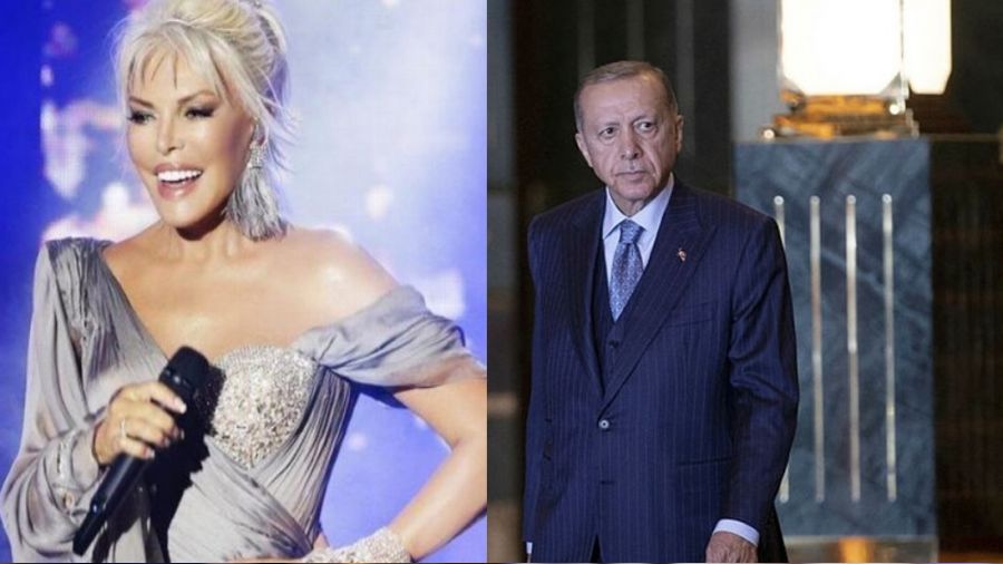 Ajda Pekkan'a Cumhurbaşkanlığı Kültür ve Sanat Büyük Ödülü