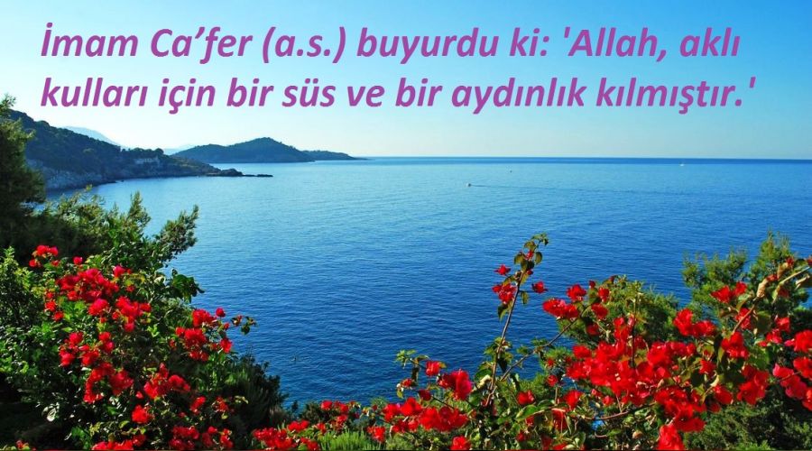 Akıl, kullar için bir süstür