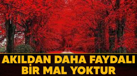 Akıldan daha faydalı bir mal yoktur