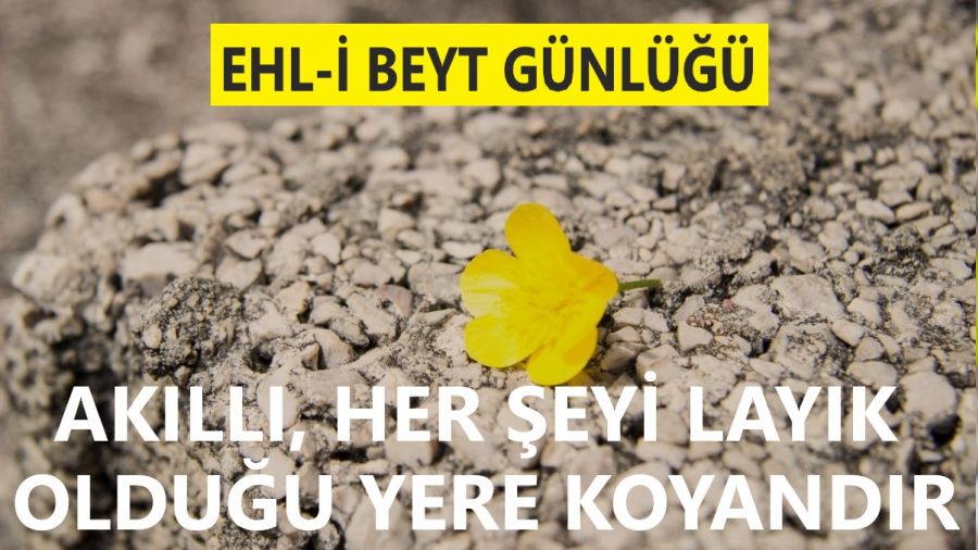 Ak�ll�, her �eyi lay�k oldu�u yere koyand�r