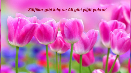 Ali gibi yiğit yoktur
