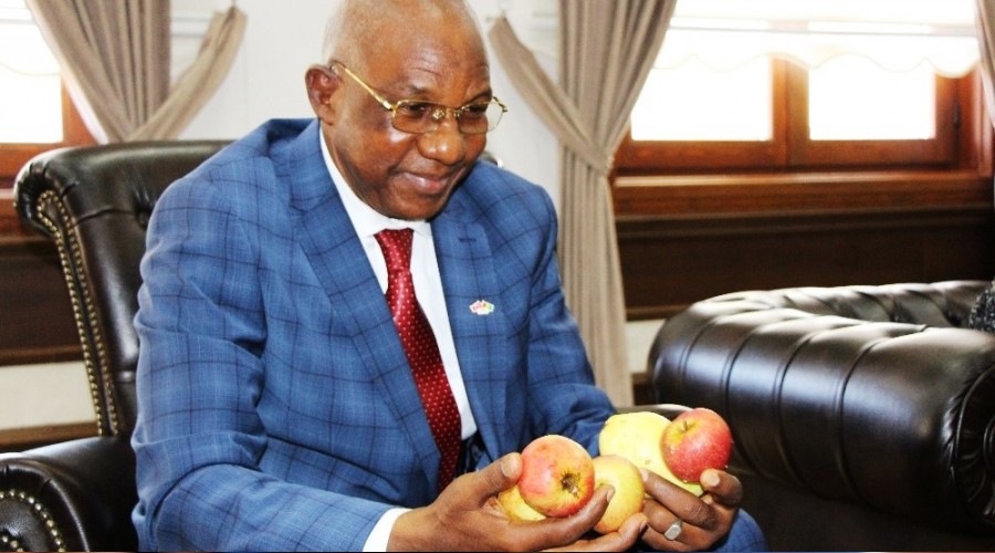 Amasya elmasına Afrika'dan talip çıktı