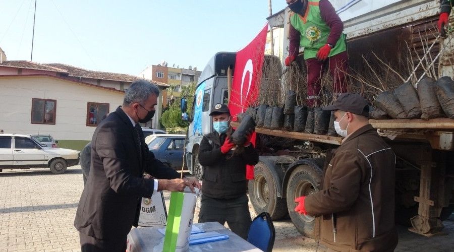 Anamur'da üreticiye fide desteği