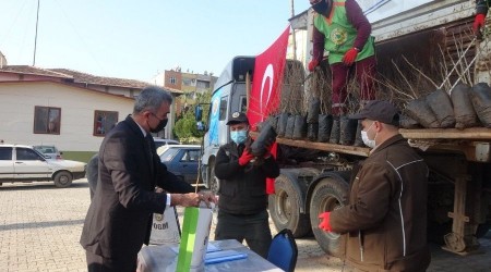 Anamur'da üreticiye fide desteği