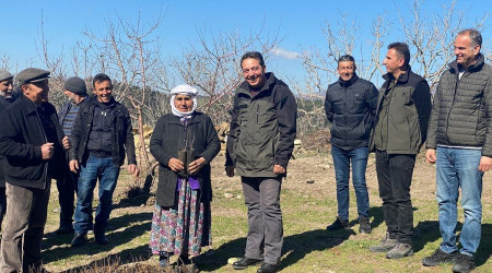 Antep fıstıkları ormanla buluştu