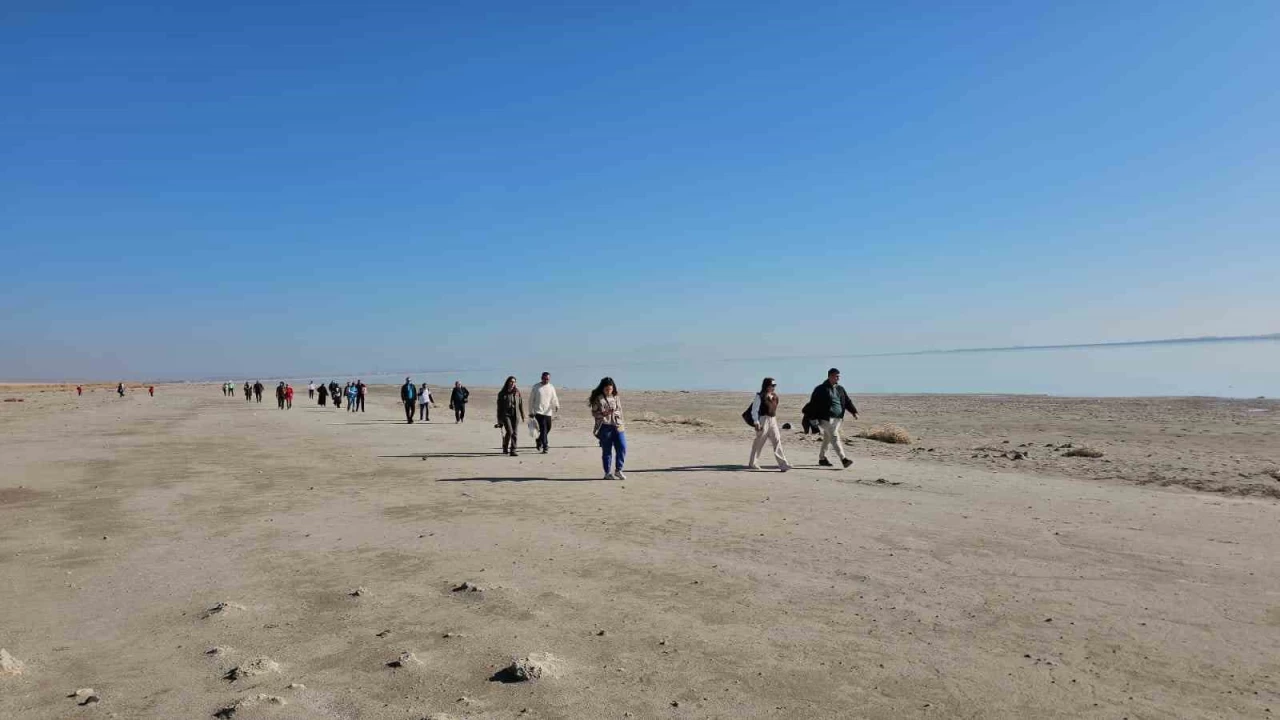 Arin Gl alarm veriyor