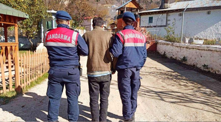 Artvin'de 49 düzensiz göçmen yakalandı