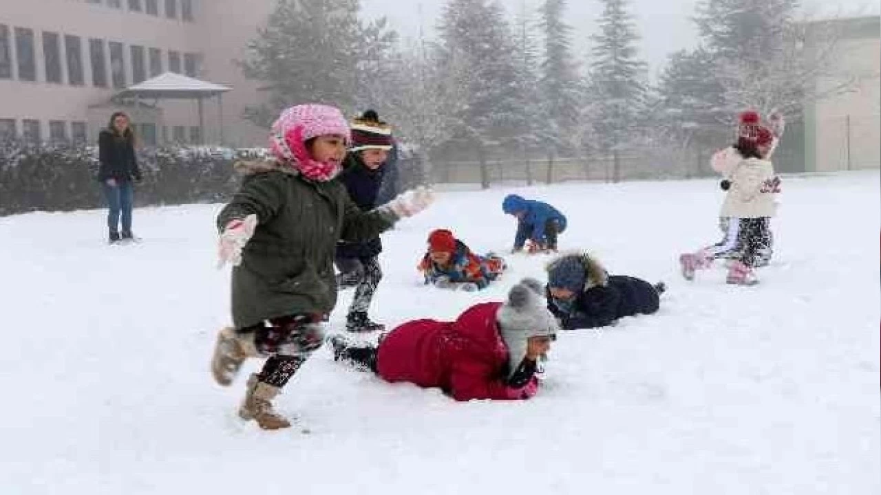 Artvin'de kar ya����: 5 il�ede e�itime bir g�n ara verildi