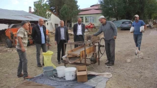 Ata tohumu fasulyeler geleneksel yntemlerle retiliyor
