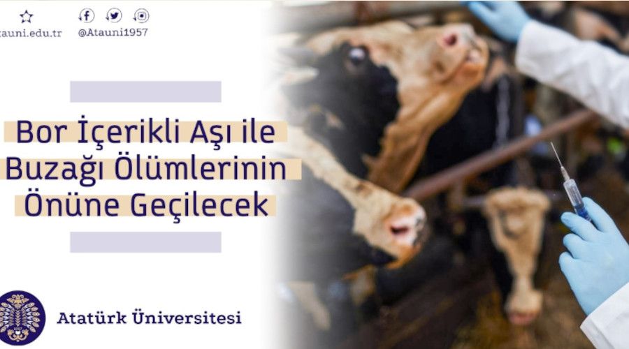 Atatürk Üniversitesinin Aşı Projesi TÜBİTAK'tan Destek Aldı