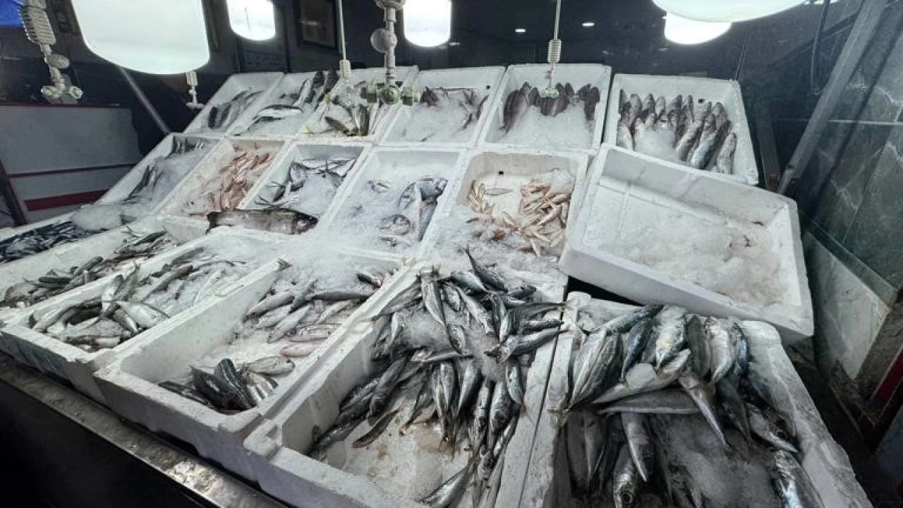 Bal�k sezonu a��ld�, halk bal��a y�neldi