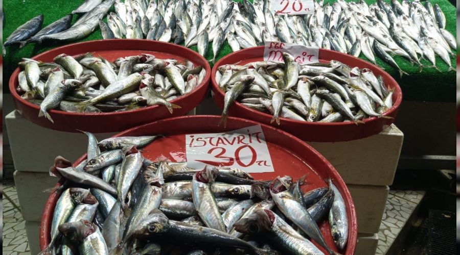 Balıkçılar hamsiden umduğunu bulamadı
