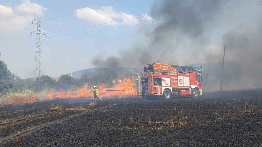 Bal�kesir'de 75 d�n�m bu�day tarlas� yand�