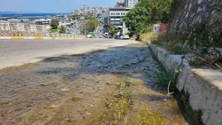 Bandrma'da boa akan su tepki ekiyor