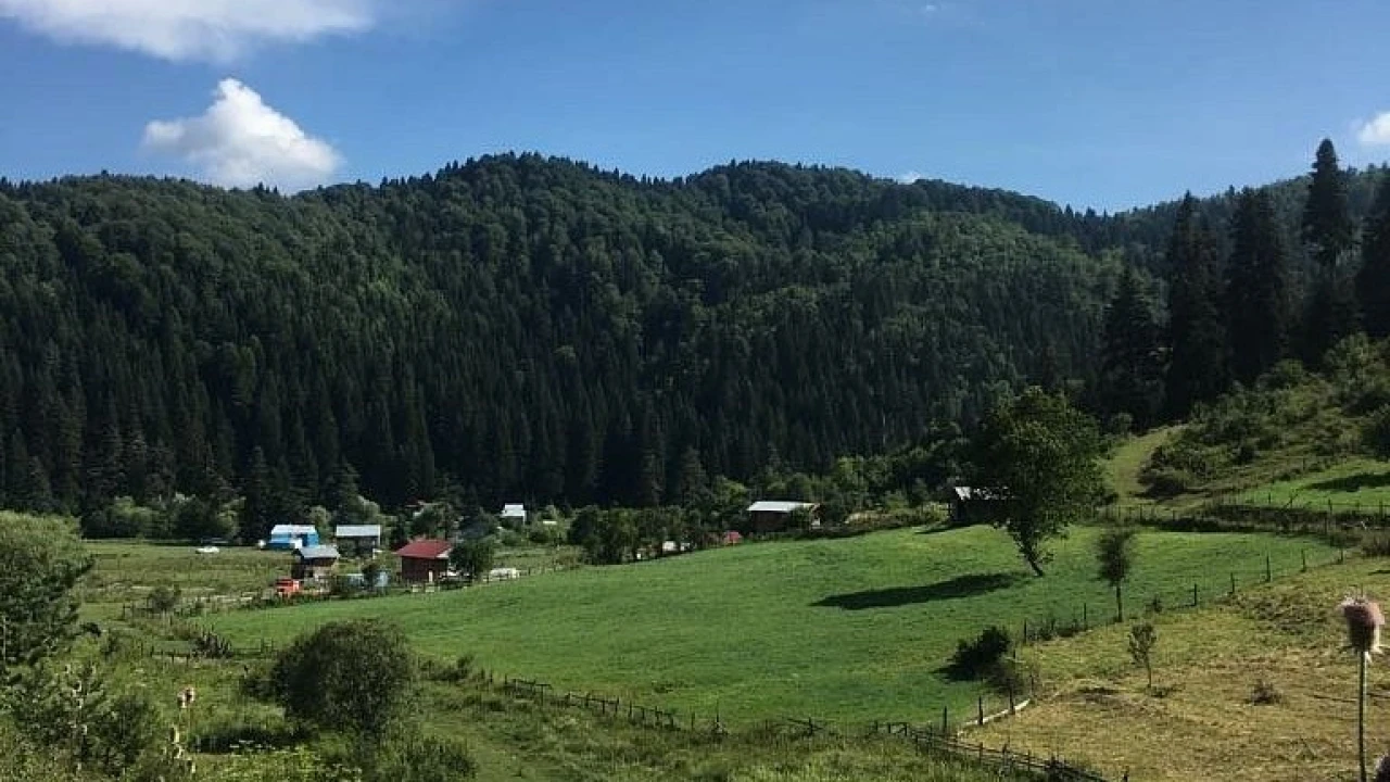 Bartın'ın saklı doğası: Uluyayla'nın büyülü sessizliği