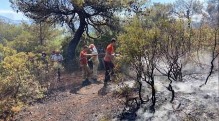 Bergama'daki orman yangn kontrol altnda