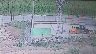 Besicinin ceylan gibi kouyorlar dedii 3 angus sevkiyat esnasnda kat