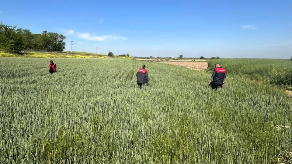 Bilin�siz ila� kullanmak �evreye de ekonomiye de zarar verir