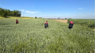 Bilin�siz ila� kullanmak �evreye de ekonomiye de zarar verir
