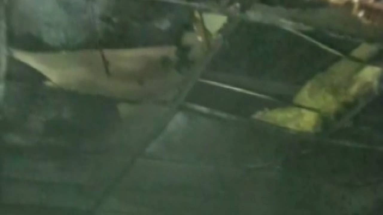 Bingöl'de işçilerin kaldığı konteynerde yangın: 1 ölü, 1 yaralı