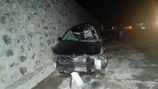 Bingöl'de otomobil ata çarptı: 1 ölü