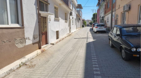 Bir sokağı pire ve keneler sardı