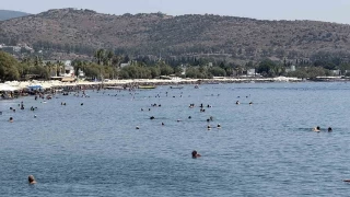 Bodrum'da termometreler at