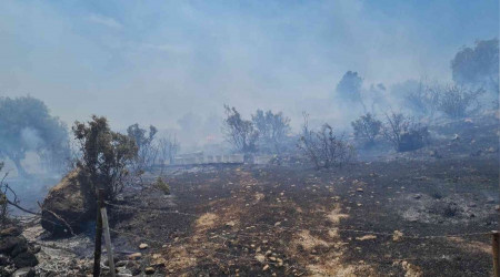 Bodrum'daki yangın 3 saatte söndürüldü