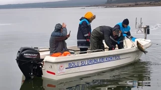 Bolu'da g�l�n ortas�nda 500 metrelik ka�ak a� ele ge�irildi