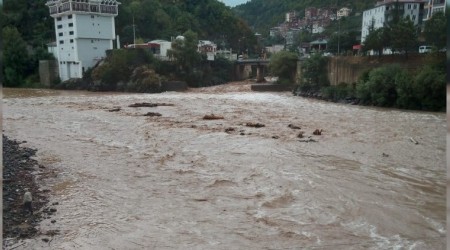 Borçka'da sağanak yağış etkili oldu