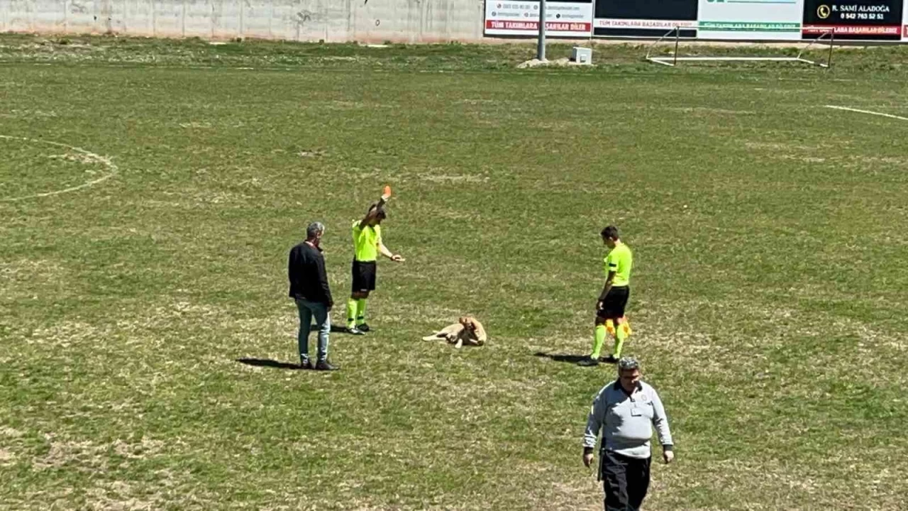 Bu kez k�rm�z� kart� k�pe�e g�sterdi