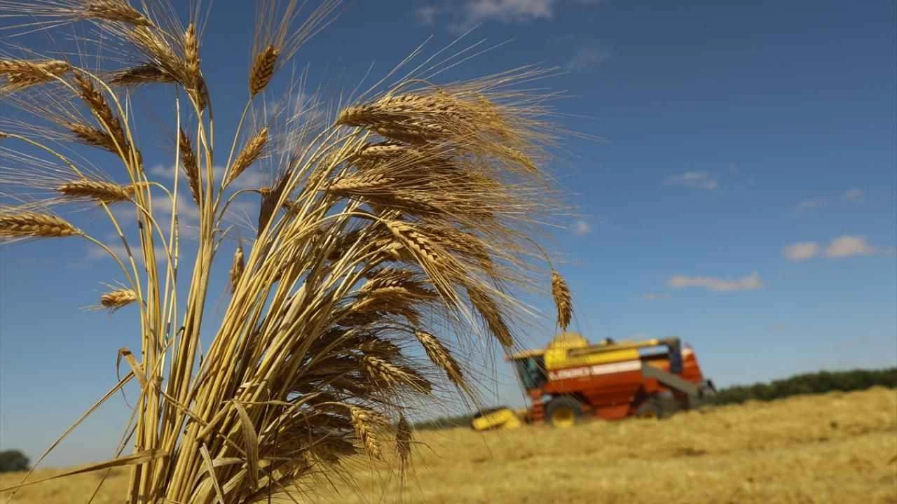 Buğday üreticileri fiyatların açıklanmasını bekliyor