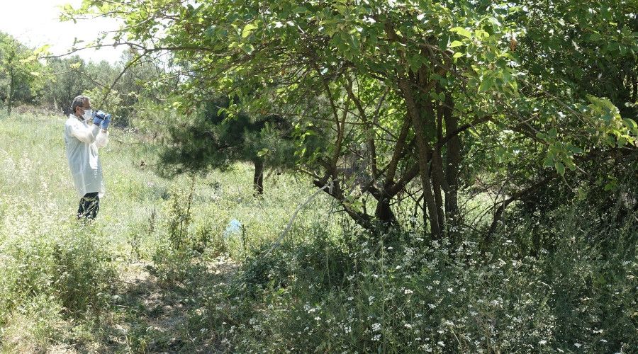 Bursa'da a�a� alt�na at�lm�� bebek cesedi bulundu