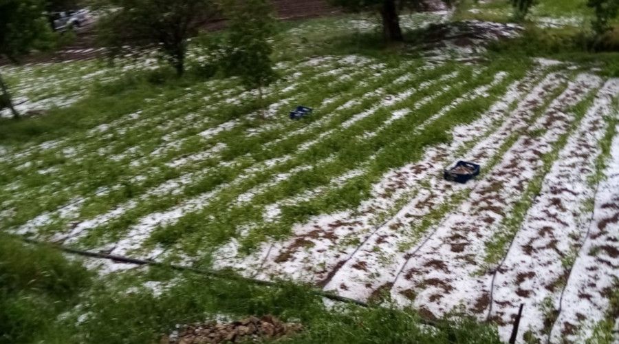 Bursa'da dolu yağışı mahsülleri vurdu